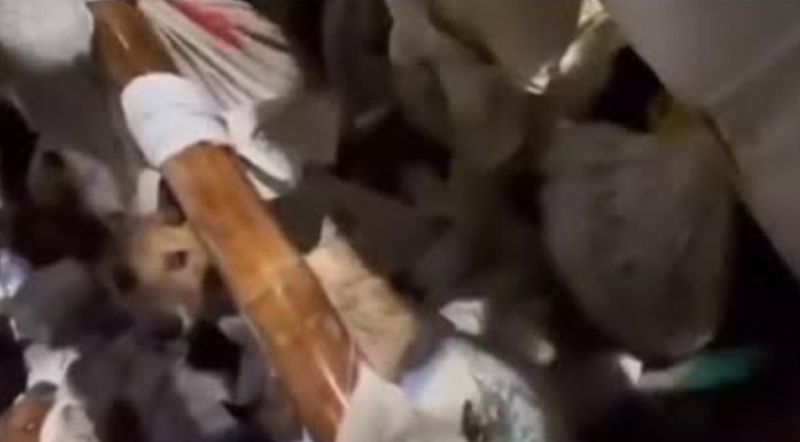 Tangkapan layar video seorang pria menunjukkan ratusan anjing dengan kondisi yang menyedihkan di dalam truk. Anjing-anjing tersebut dimasukkan di dalam karung dan dalam kondisi terikat.
