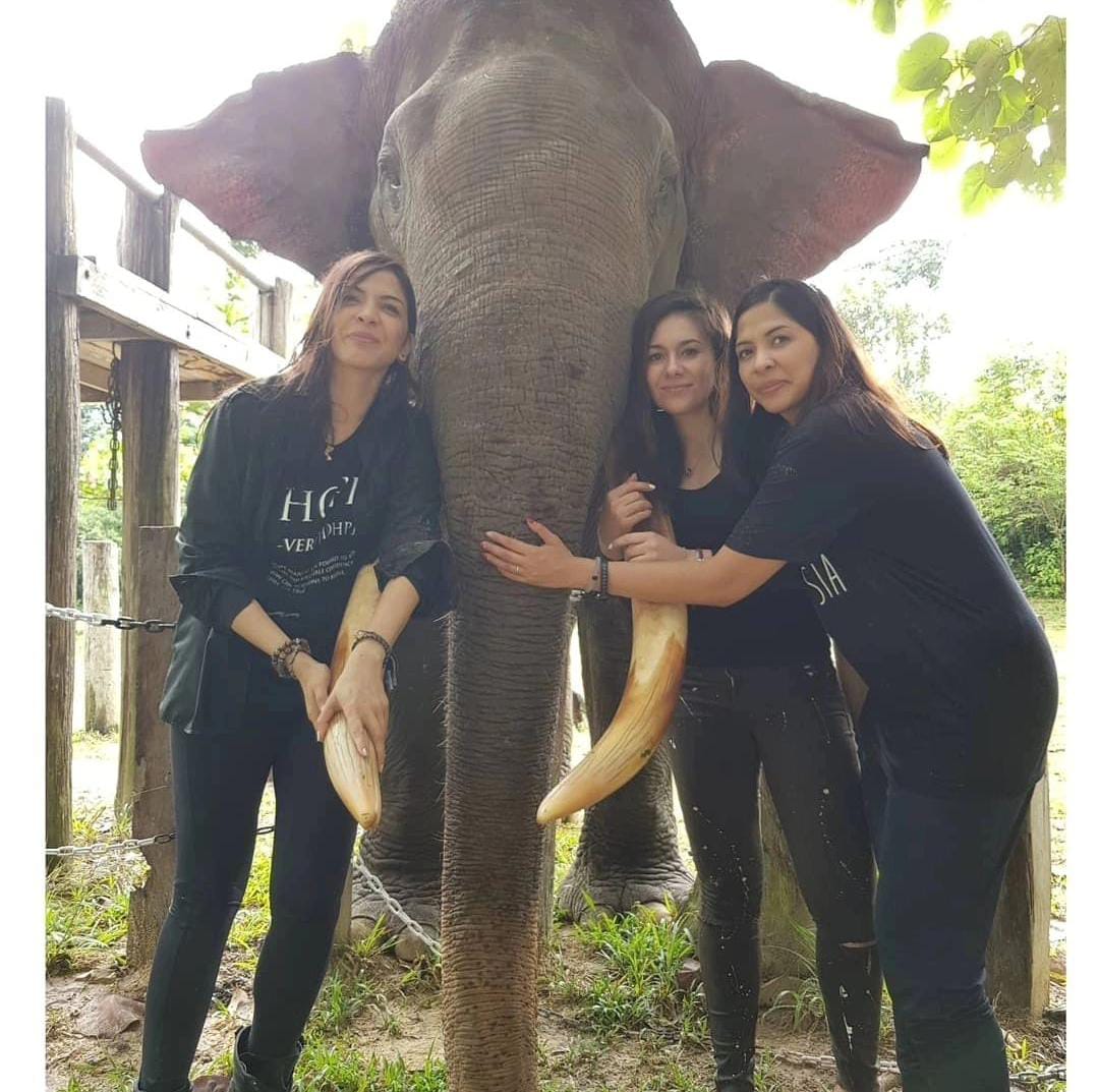 sosok gajah Kapten Rahman