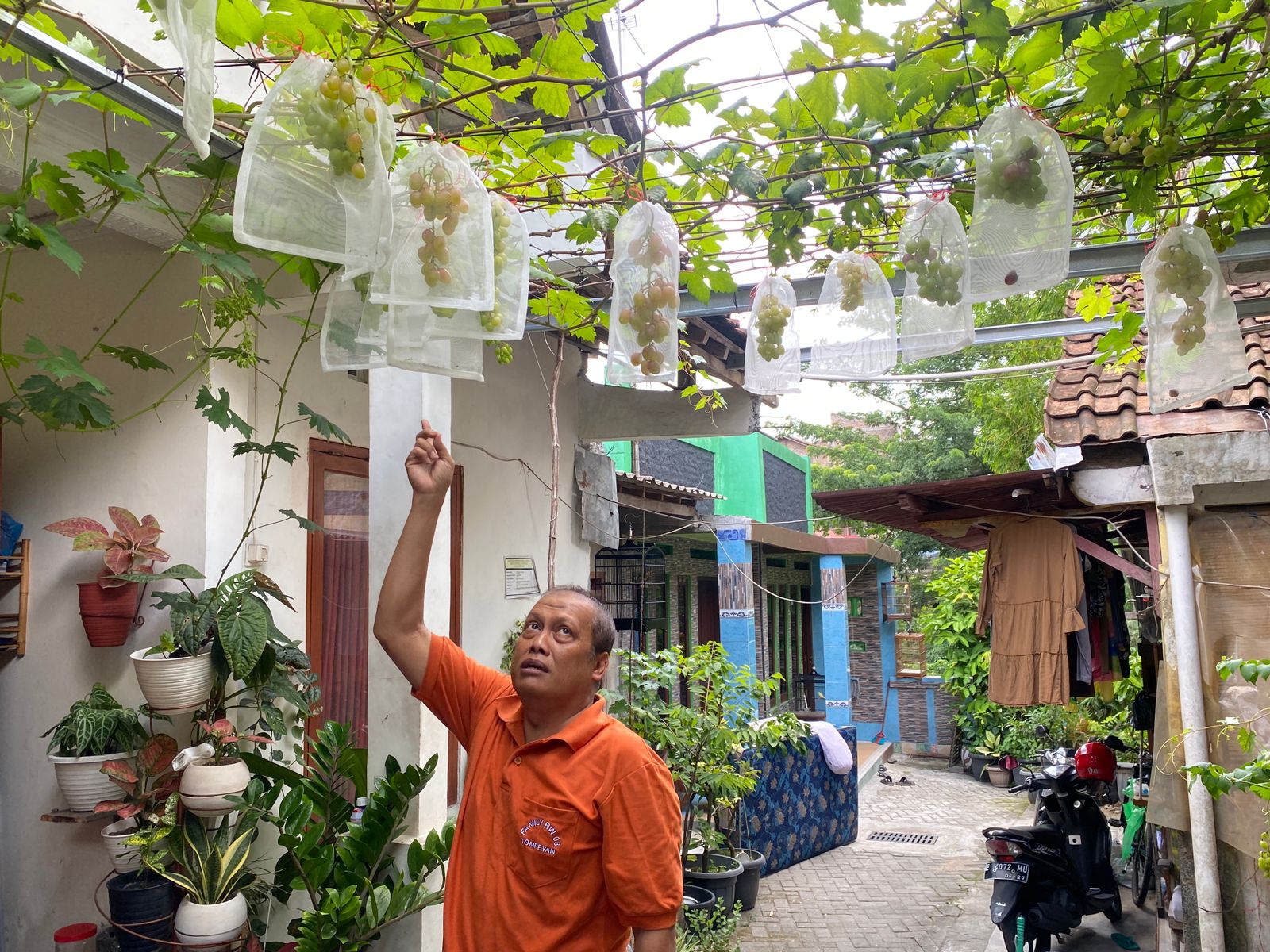Ketua Asosiasi Tabulampot Kota Jogjakarta, Eka Yulianta saat ditemui di Kampung Tegalrejo, Jogjakarta, Selasa (16/01/2024).
