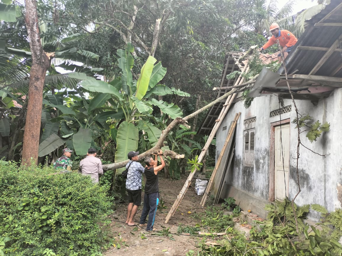 CEK LOKASI : Aparat kepolisian dari Polsek Kuwarasan mendatangi rumah yang tertimpa pohon tumbang.