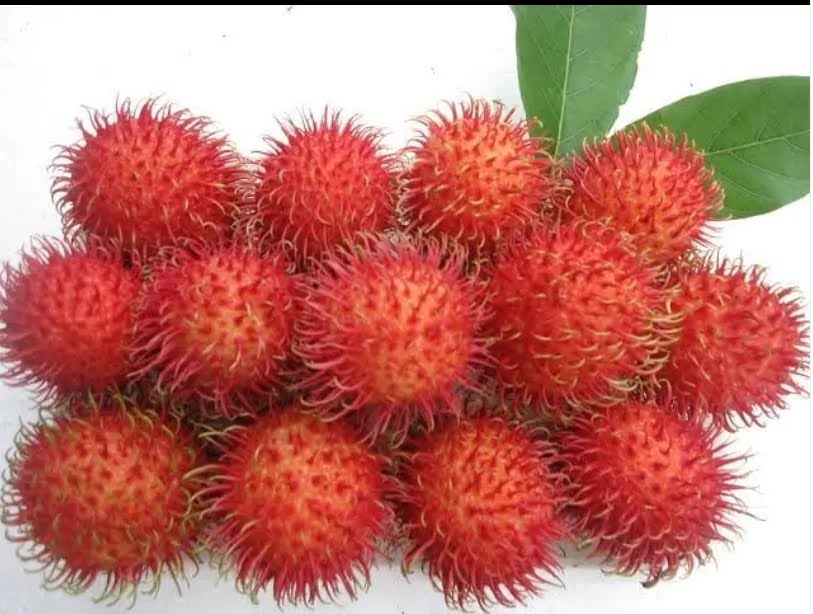 MANFAAT: Rambutan memiliki banyak manfaat untuk kesehatan.