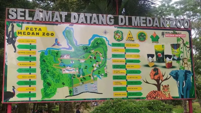 Peta Medan Zoo. Butut matinya tiga satwa di kebun binatang ini, Wali Kota Medan tutup sementara lokasi bakal dilakukan pembangunan.