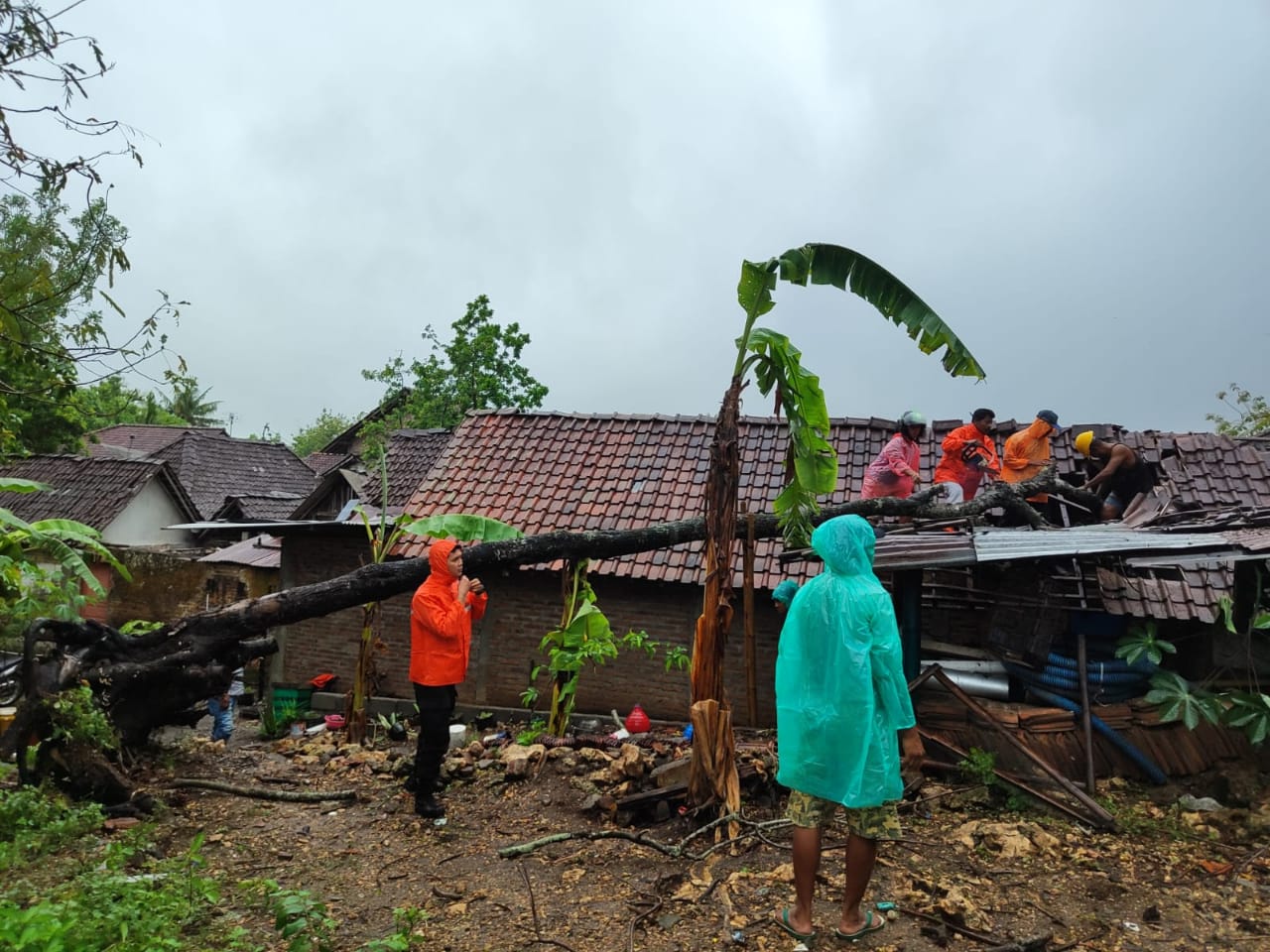 CEPAT: Sejumlah personel BPBD Bantul, Polsek Imogiri, Bhabinkamtibmas, dan warga mengevakuasi pohon tumbang di Kalurahan Karangtalun, Kapanewon Imogiri, Bantul, Jumat (19/1).