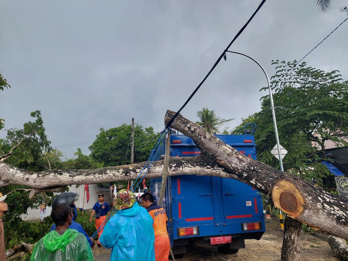 SINGKIRKAN: Petugas BPBD Kulon Progo memindahkan pohon tumbang yang sempat menutup Jalan Margosari-Kepek, Padukuhan Derwolo, Kalurahan Pengasih, Kapanewon Pengasih, Kulon Progo, Minggu (21/1).