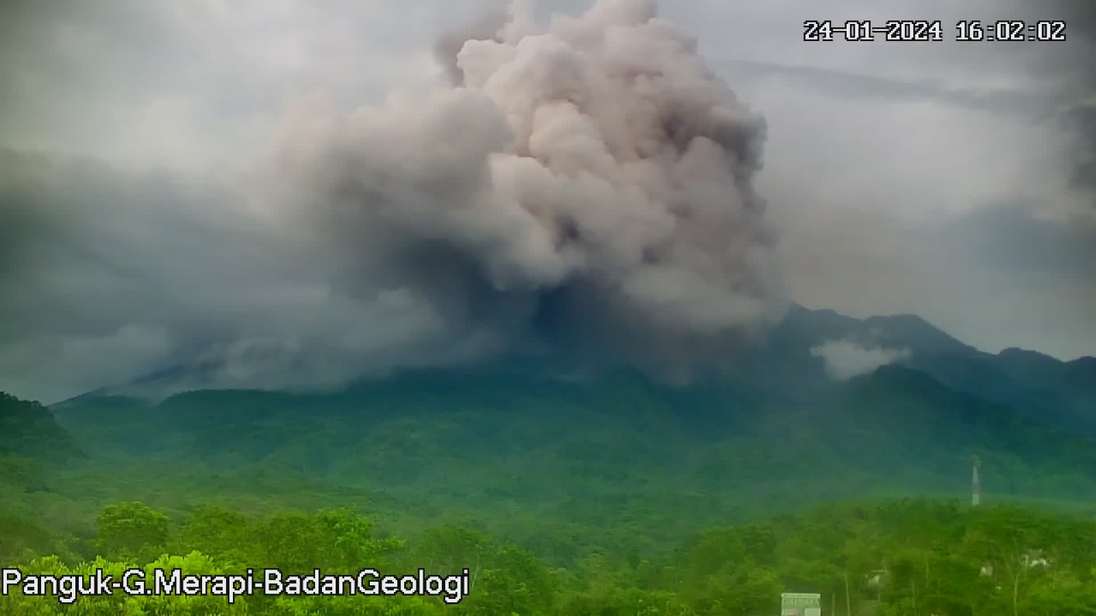 Gunung Merapi kembali erupsi pada Rabu sore 24 Januari 2024.