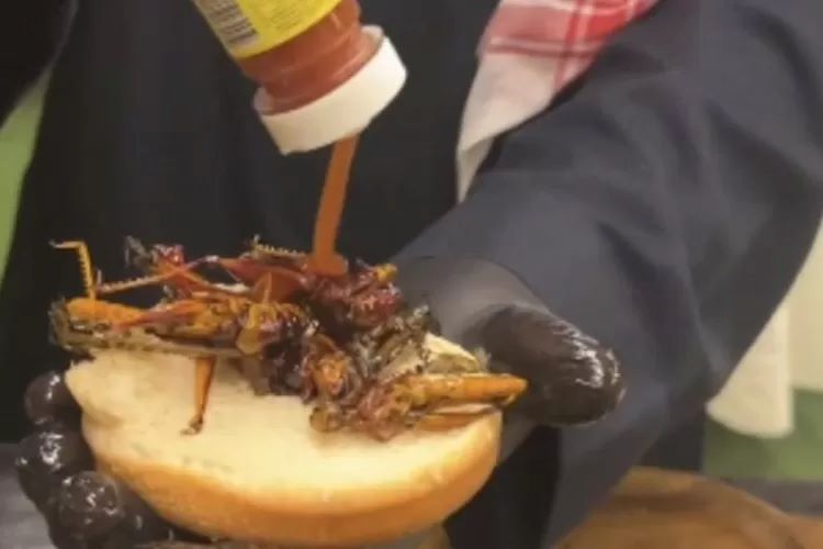 Burger Belalang yang sedang tren di Arab Saudi