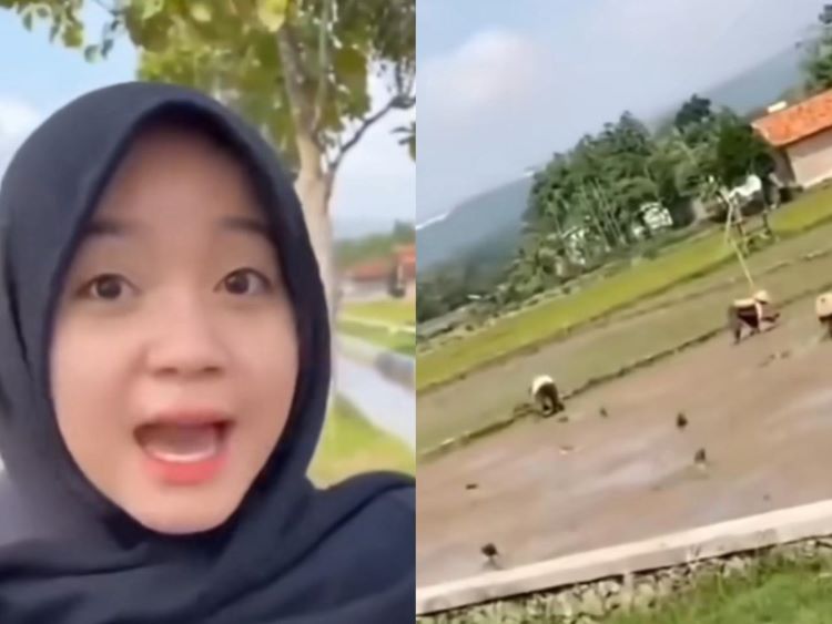 Perempuan Berkerudung Hitam Bikin Jokes Petani