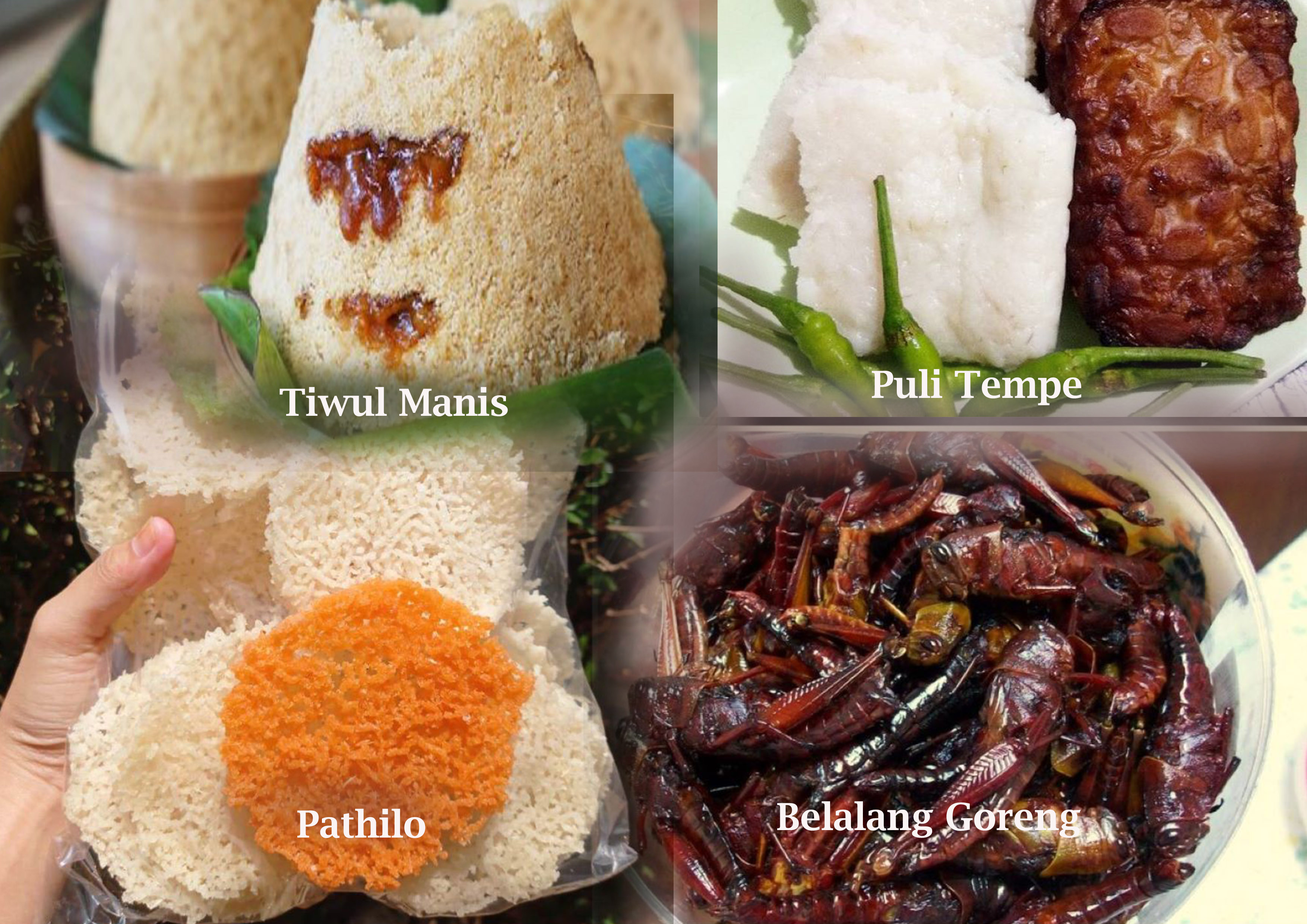 Makanan khas Gunungkidul.