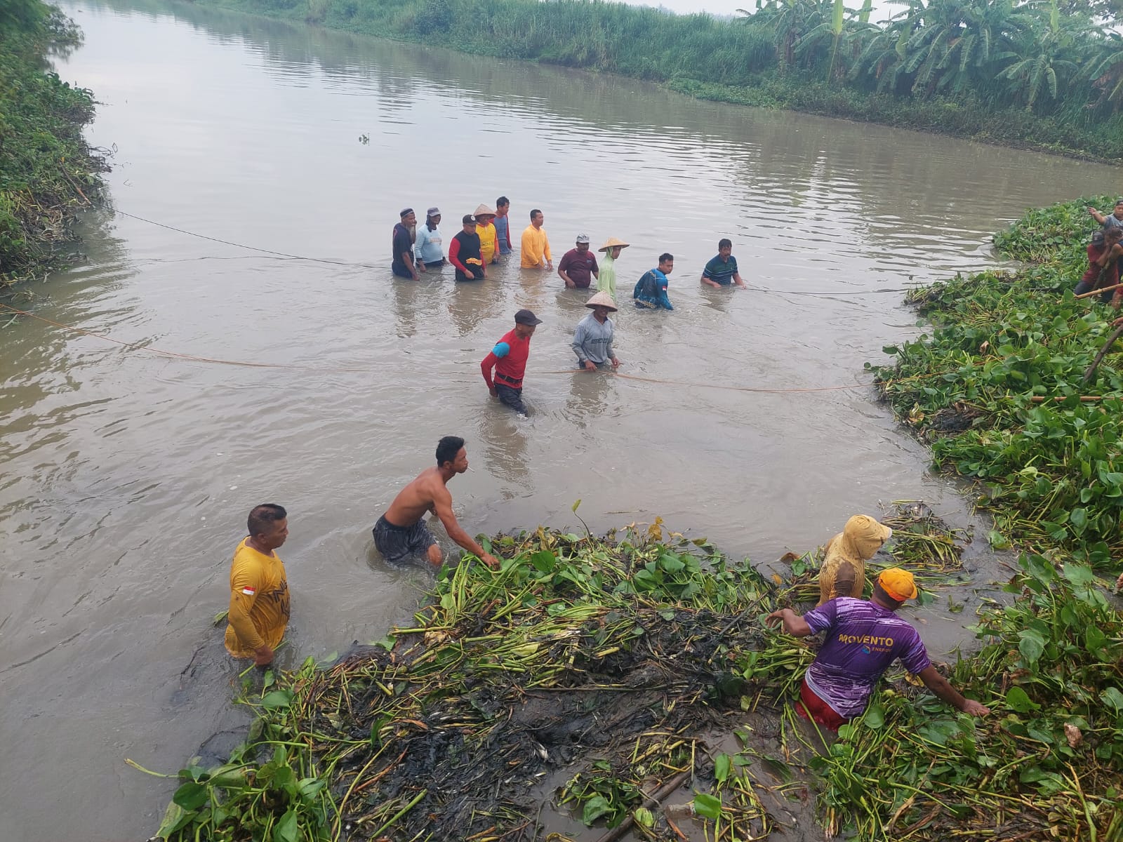 GOTONG ROYONG: Warga melakukan pembersihan eceng gondok dengan alat seadanya.