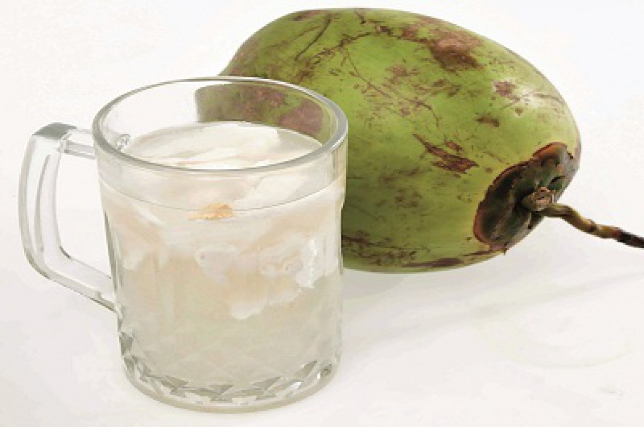 Air Kelapa punya segudang manfaat bagi kesehatan.