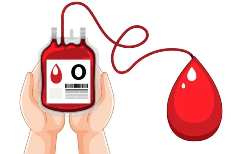 Ilustrasi golongan darah O.