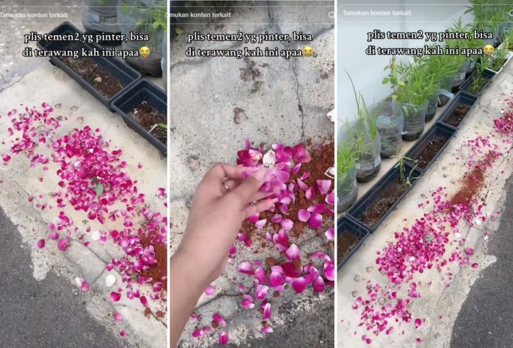 Merinding! Wanita di Pati Kena Teror, Rumahnya Dibanjiri Bunga dan Tanah Kuburan!