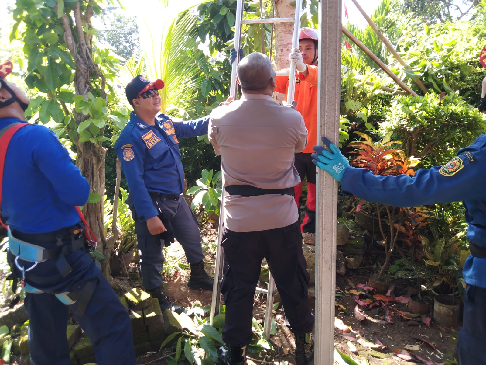 suasana evakuasi korban dari atas pohon.