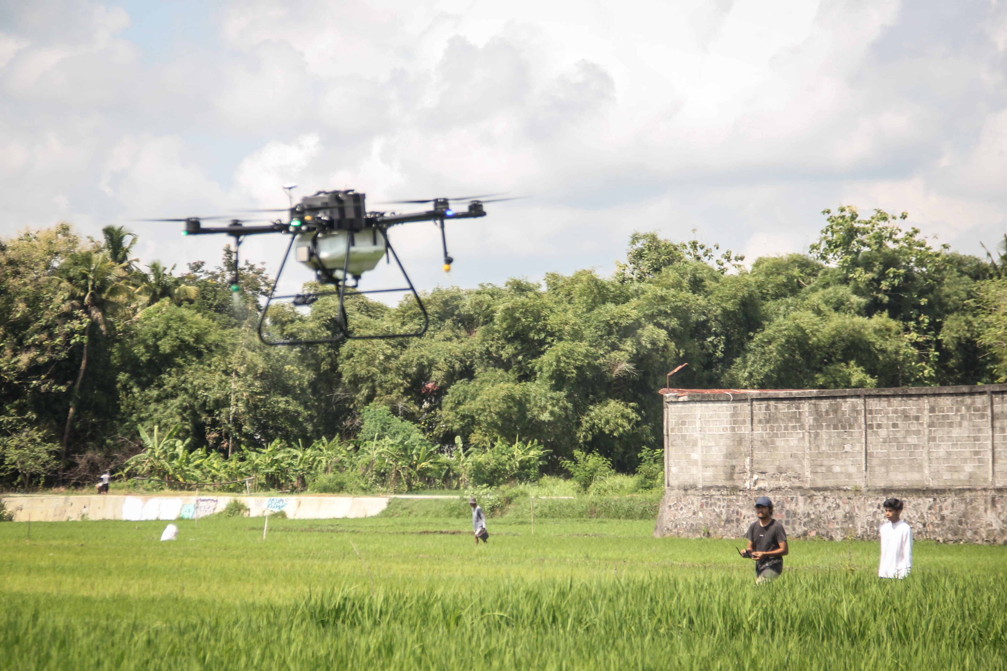 CEPAT: Petugas Pengendali Organisme Pengganggu Tumbuhan (POPT) DKPP Bantul mengoperasikan drone untuk menyemprot pestisida di lahan sawah di Kalurahan Tamantirto, Kasihan, Bantul, Selasa (20/2).