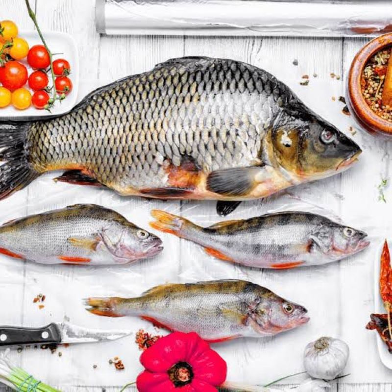 Ilustrasi Ikan.