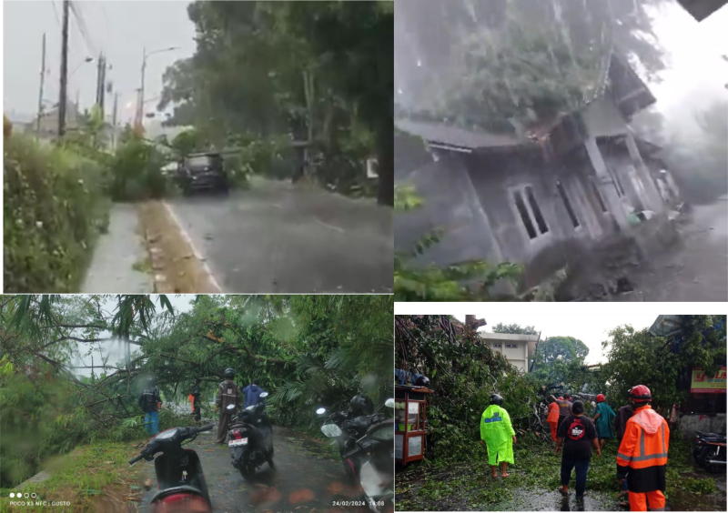 Hujan deras disertai angin kencang dan petir sebabkan sejumlah kejadian pohon tumbang menimpa rumah, akses jalan dan mobil terjadi di Kabupaten Sleman, Sabtu (24/2/2024)