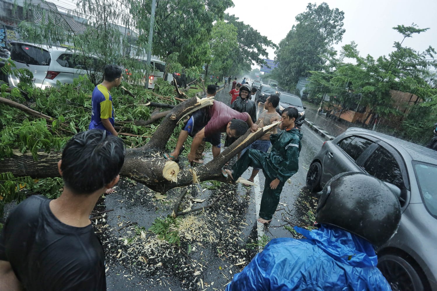 POTONG: Tim BPBD Sleman dan warga melakukan evakuasi pohon tumbang di Ringroad Utara Condongcatur, Depok, Sleman, Sabtu (24/2).