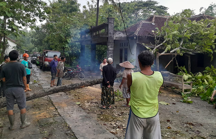 TERDAMPAK: Warga mengevakuasi pohon tumbang akibat hujan disertai angin kencang di Kapanewon Semanu, Gunungkidul.
