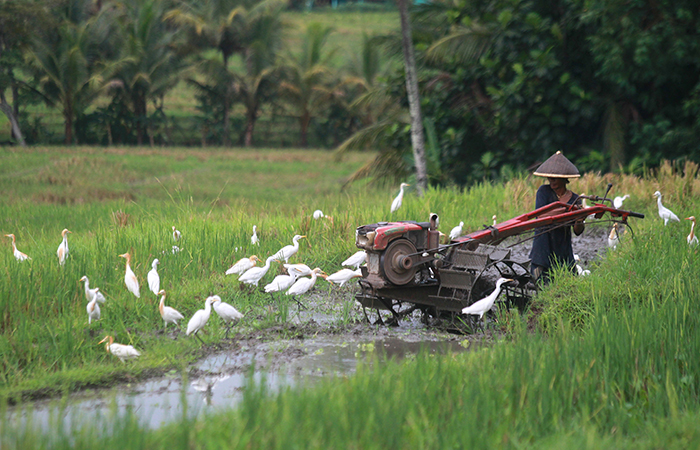 GUNTUR AGA TIRTANA/RADAR JOGJA