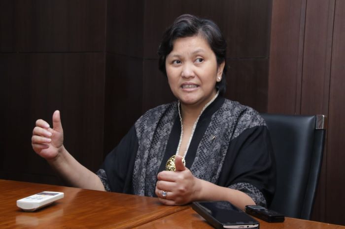 Wakil Ketua MPR RI Lestari Moerdijat