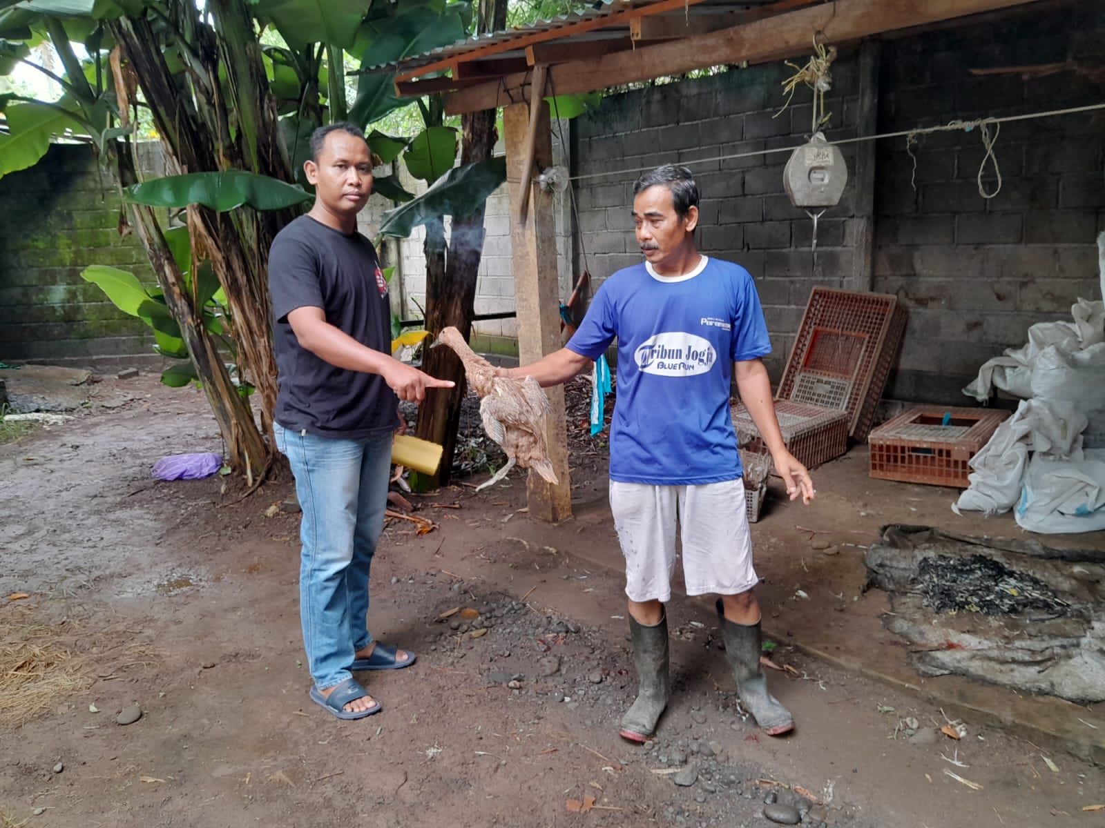 Barang bukti bebek curian pelaku