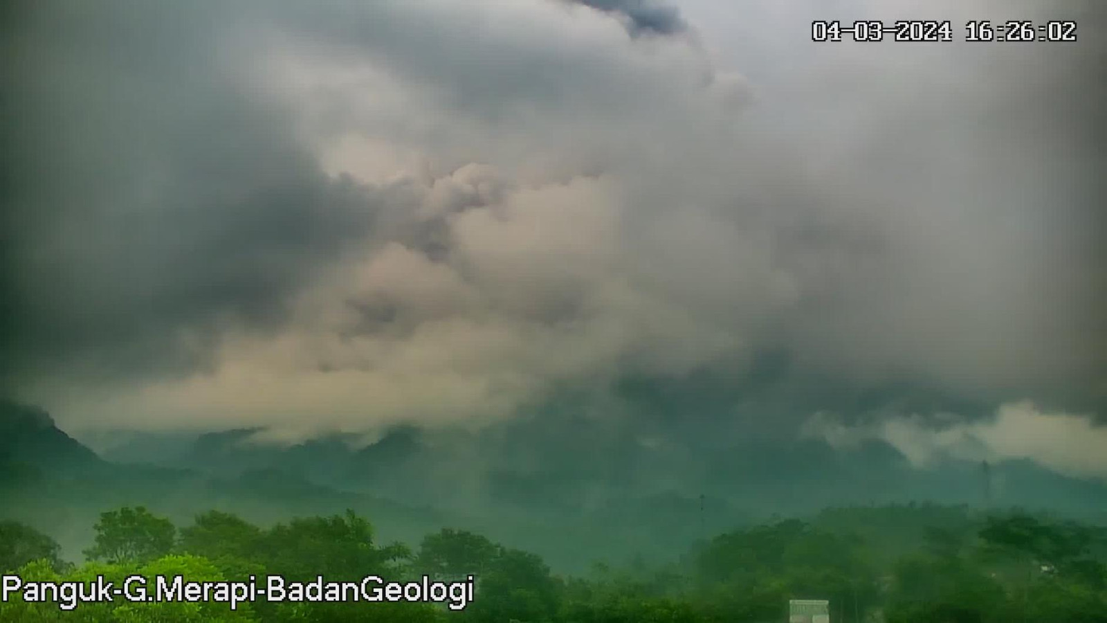 Gunung Merapi di Sleman erupsi, luncurkan awan panas guguran Senin 4 Maret 2024.
