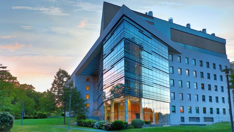 Albert Einstein College of Medicine (Getty Image)