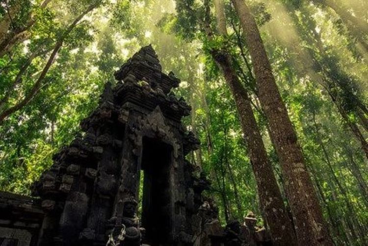 Taman Nasional Alas Purwo (Pinterest)