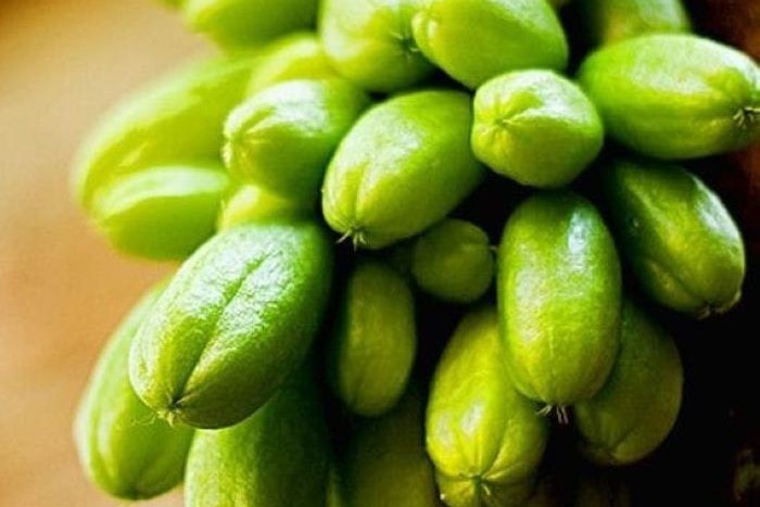 Belimbing wuluh yang memiliki banyak manfaat (Pinterest)