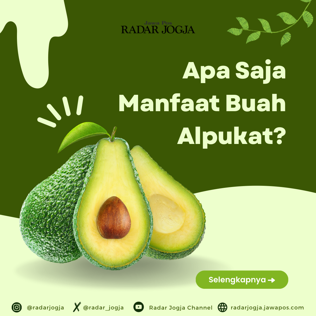 Manfaat Buah Alpukat