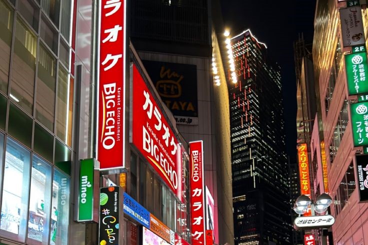 Ibukota Negara Jepang, Tokyo (Pinterest)