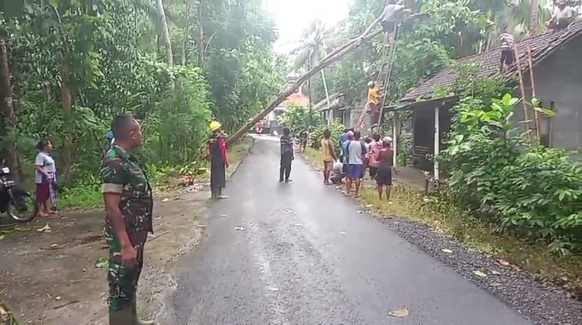 Keterangan Foto: 1. Proses evakuasi pohon tumbang yang mengenai jaringan listrik dan rumah warga.
