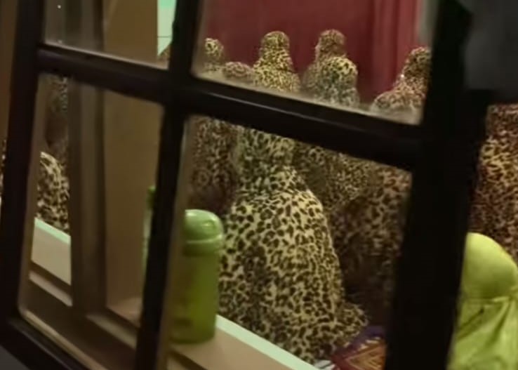 Viral Ibu-ibu tarawih pakai mukena bermotifkan macan tutul
