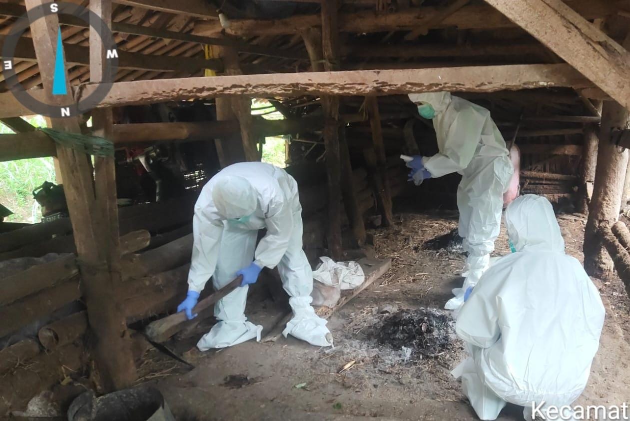 Tim Balai Besar Veteriner Wates melakukan investigasi di kandang sapi yang diduga positif Anthrax