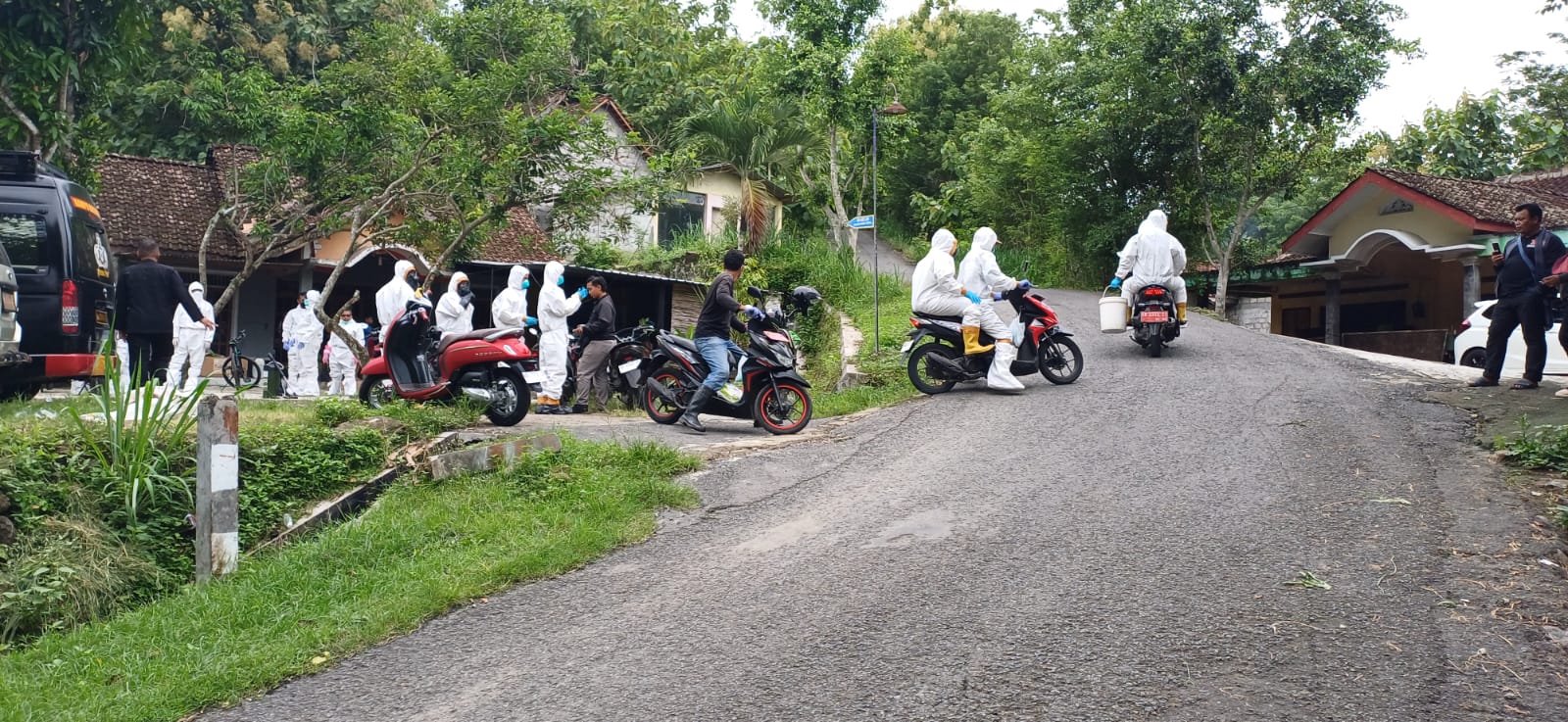 Deteksi antraks terhadap sejumlah hewan ternak di Padukuhan Kayoman, Serut, Gunungkidul.