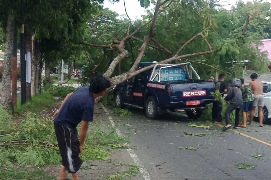 Caption Foto : Hujan disertai angin kencang di Gunungkidul mengakibatkan pohon tumbang dan menimpa mobil Tagana