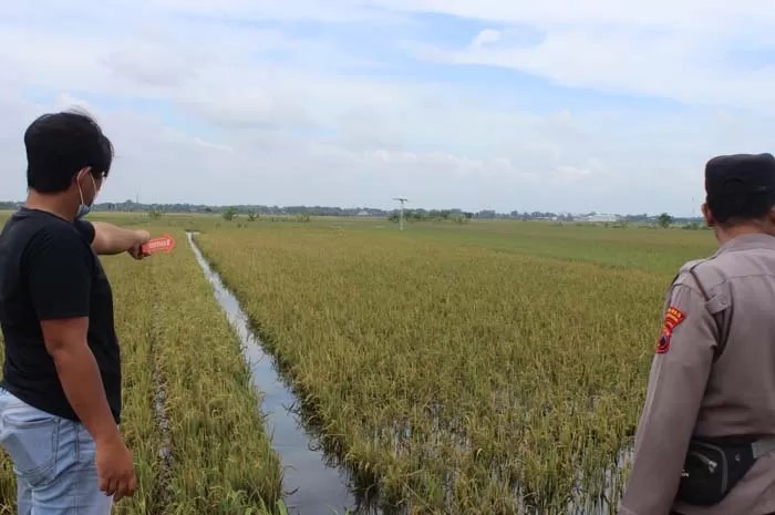 OLAH TKP: Anggota Polsek Brati melakukan olah TKP di lokasi sungai Desa Jangkungharjo, Kecamatan Brati tempat korban tenggelam di sawah. (POLSEK BRATI FOR RADAR KUDUS)