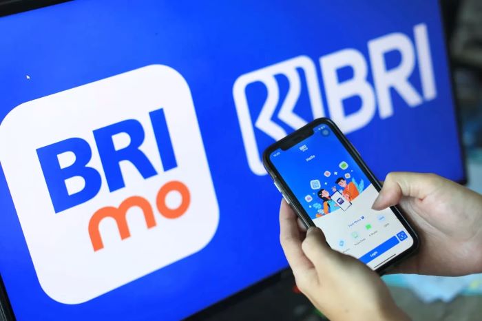 Aplikasi BRImo bayar streaming tanpa ribet