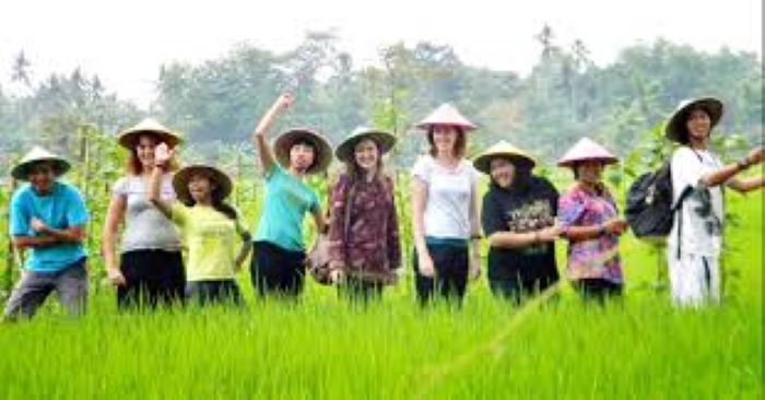 Desa Wisata Kebon Agung