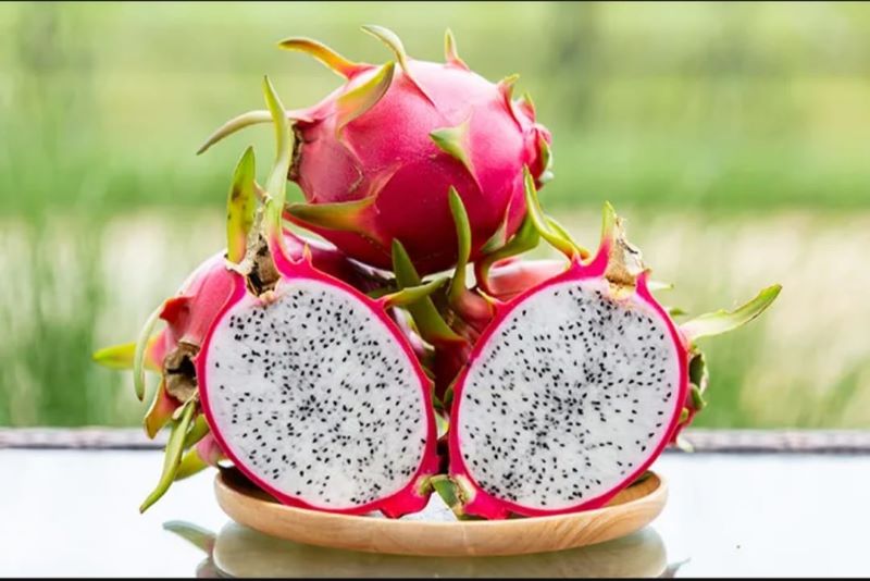 Buah Naga
