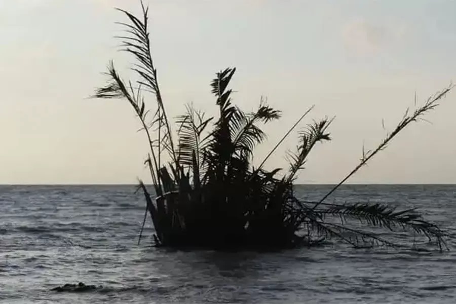 Fenomena kemunculan buyuk yang mengapung di laut