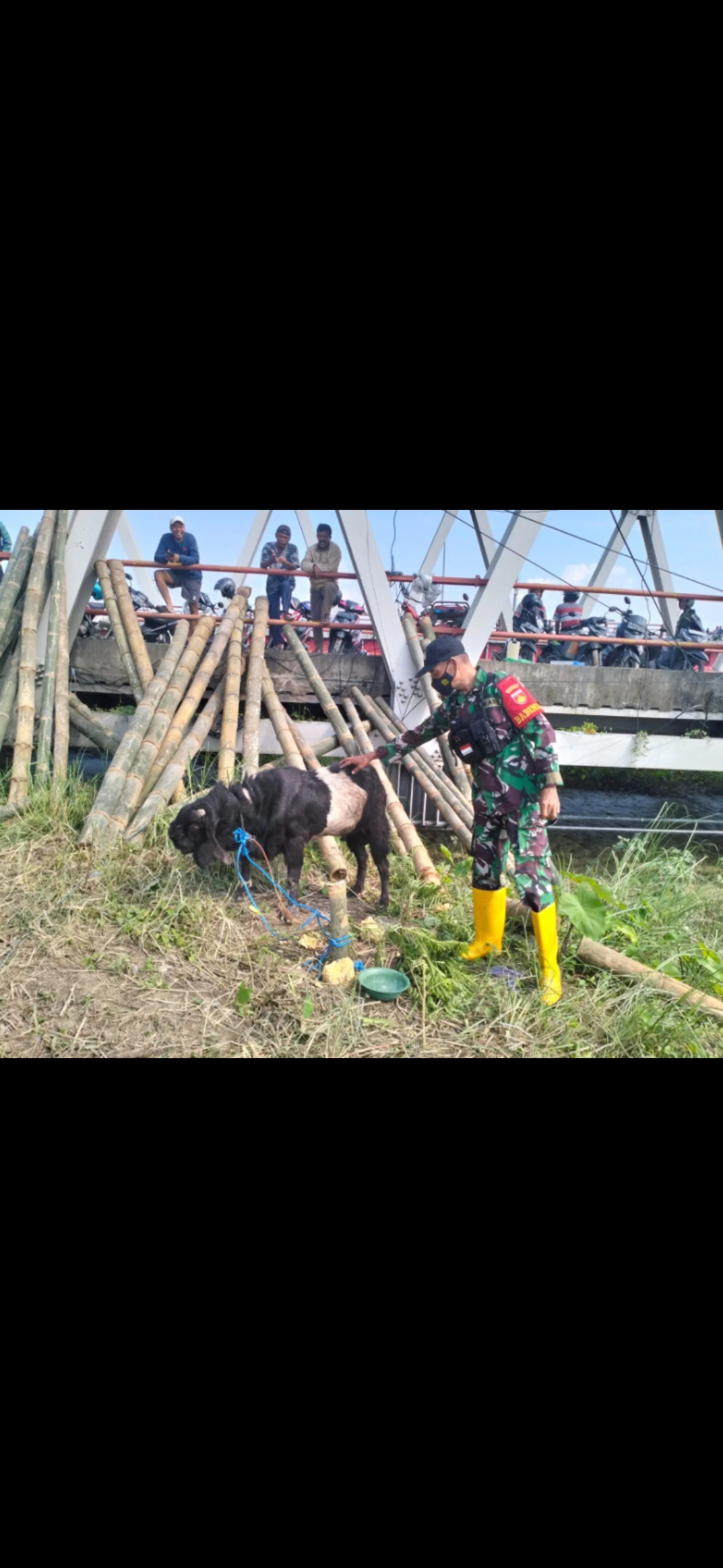 KURBAN: Kambing kendit disembelih sebagai upaya mencegah bencana. (Dok Radar Semarang)