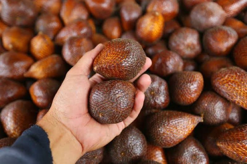 Buah Salak, tidak hanya enak tetapi memiliki segudang manfaat bagi kesehatan tubuh.