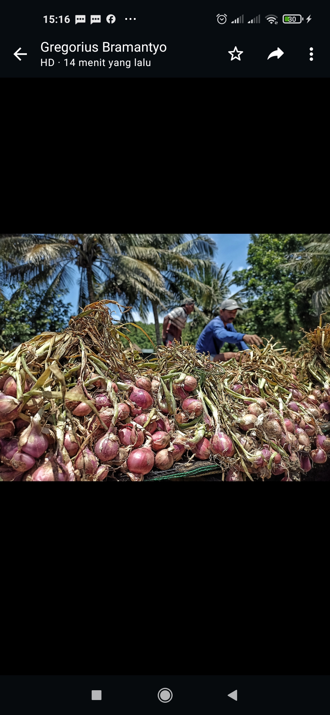 MELIMPAH: Petani membersihkan dan memilah bawang merah usai dipanen di Kalurahan Parangtritis, Kapanewon Kretek, Bantul, Senin (25/3). (Gregorius Bramantyo/Radar Jogja)