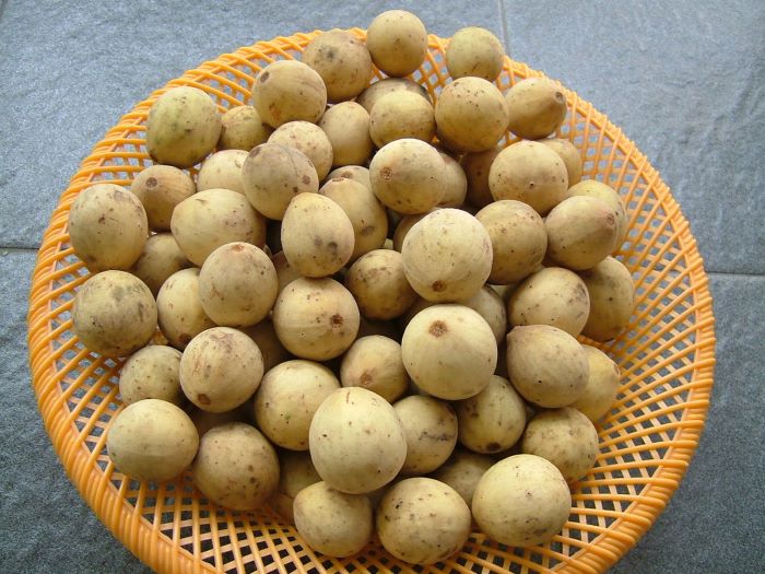 buah duku memiliki manfaat untuk kulit