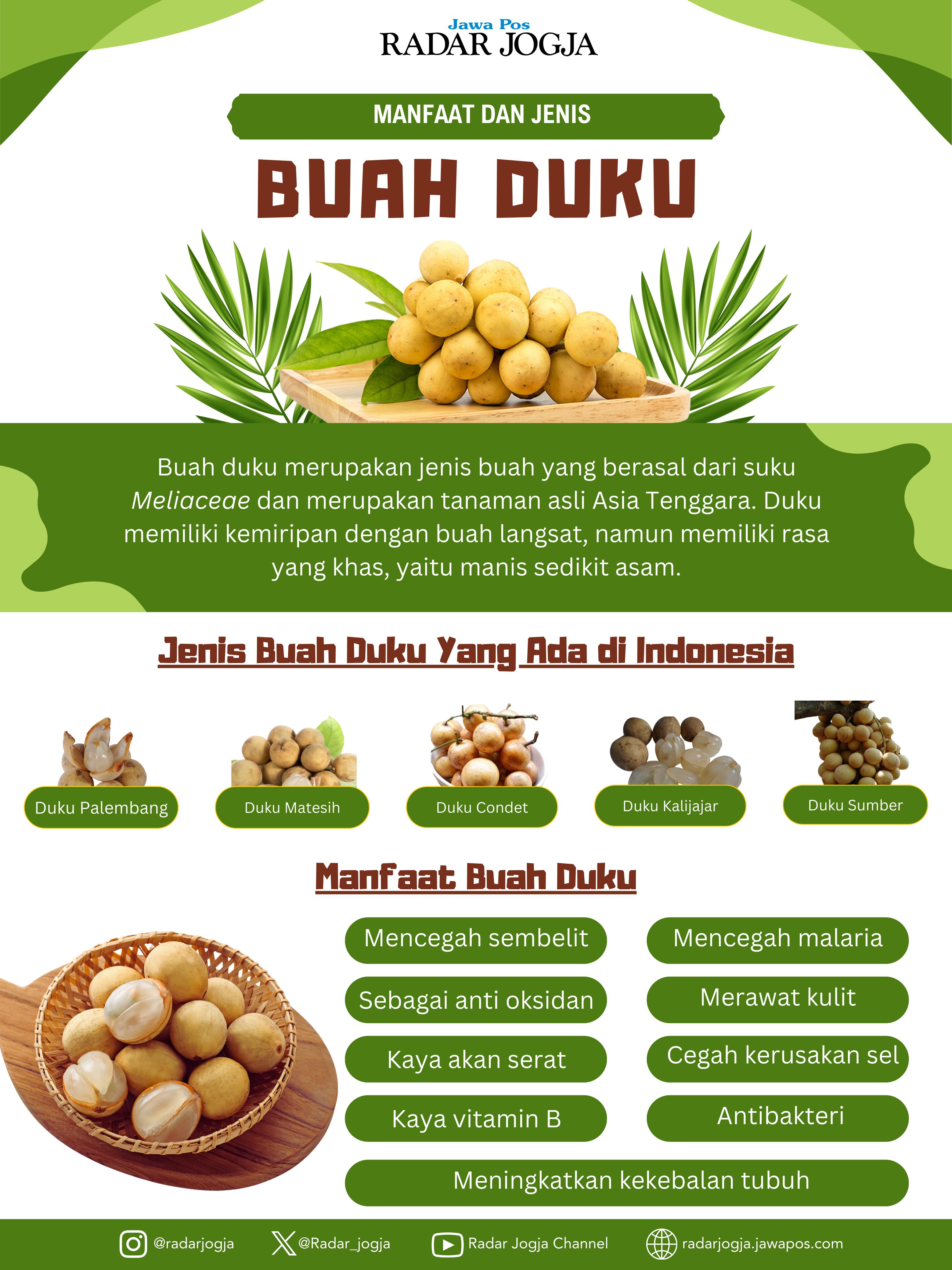 Manfaat dan Jenis Buah Duku