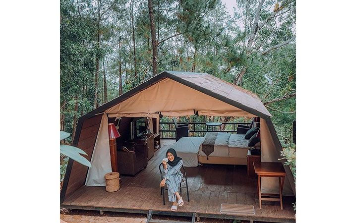 ASRI: Pengunjung yang menikmati kawasan hutan pinus saat camping di Glamping Songgo Langit, Mangunan, Dlingo. Camping dengan gaya mewah dan fasilitas yang lebih nyaman