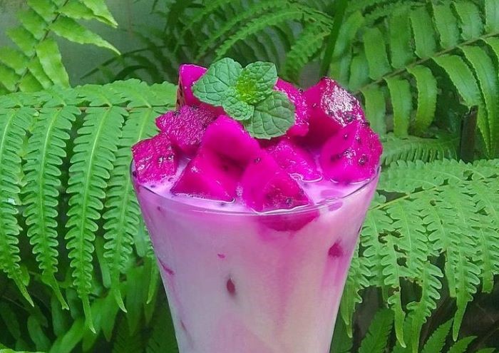 Caption Foto  Olahan buah naga