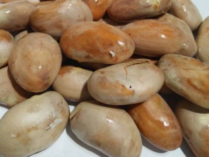 Biji nangka baik bagi kesehatan tubuh