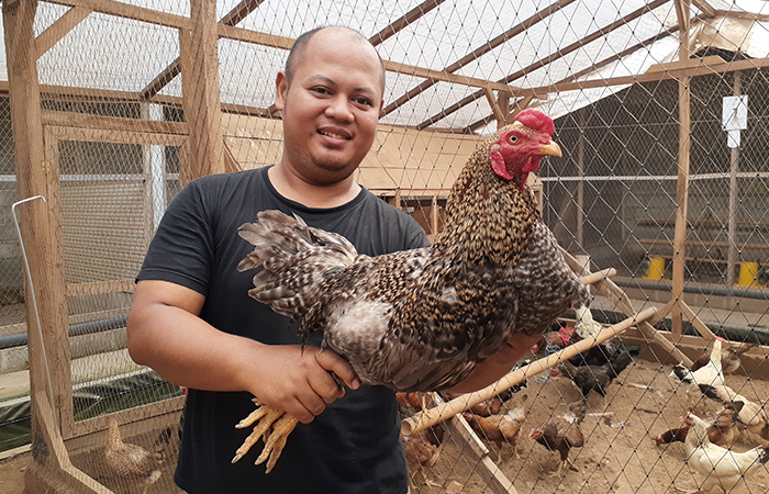 MENJANJIKAN: Azar Anas Ragawi menunjukkan ayam KUB hasil budidayanya di Niron, Pandowoharjo, Sleman (4/4). Mantan guru honorer ini sukses mengembangkan usaha ayam KUB.IWAN NURWANTO/RADAR JOGJA